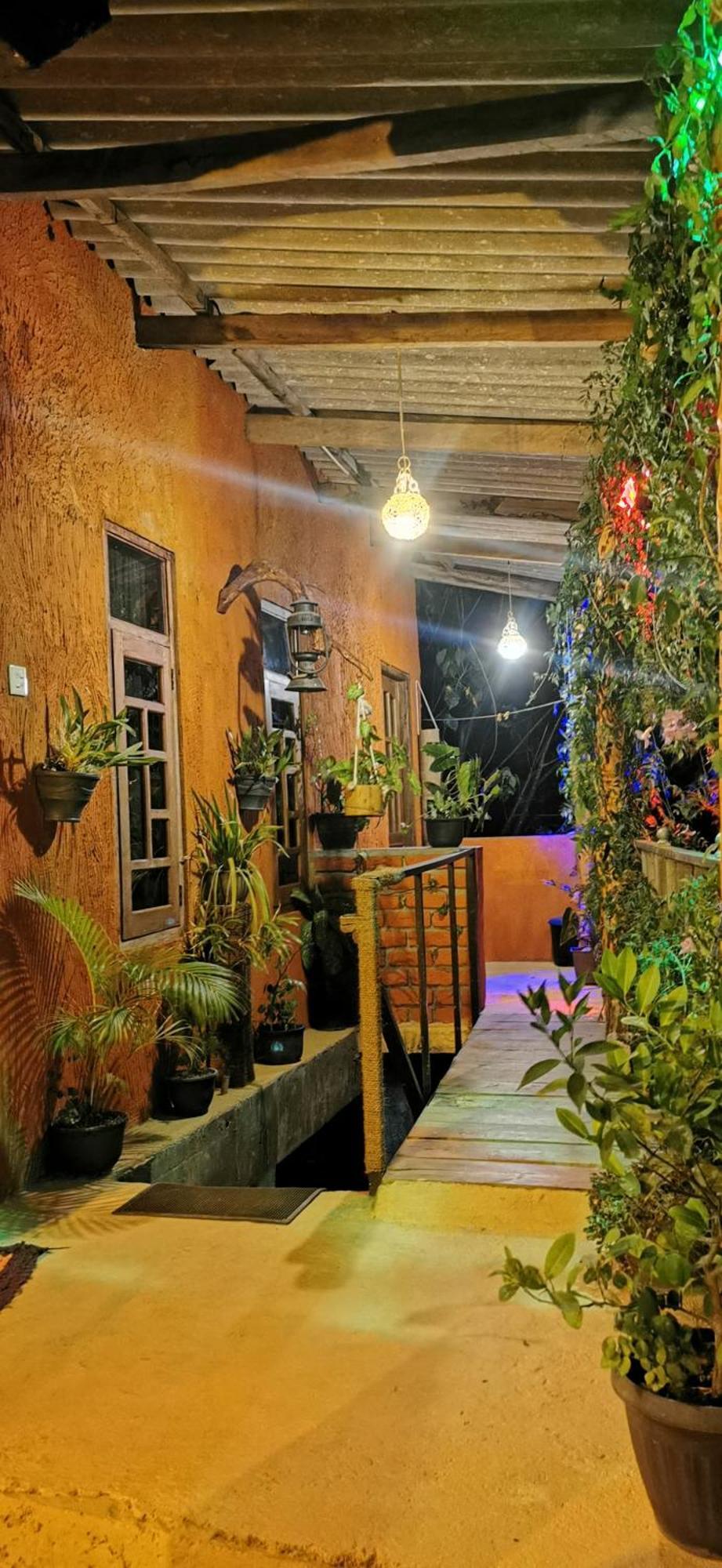 Hostal Tree House Ella Bagian luar foto