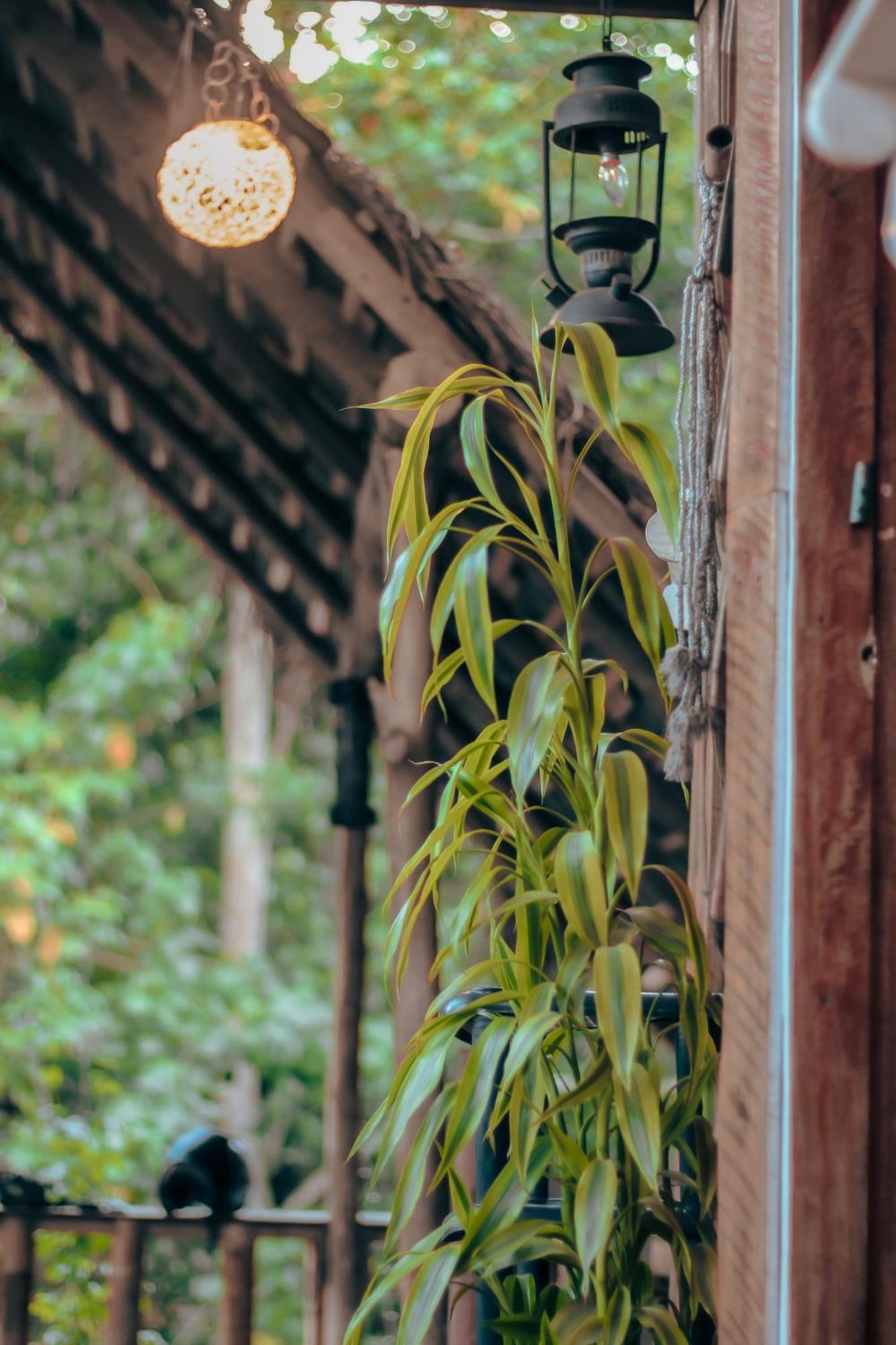 Hostal Tree House Ella Bagian luar foto