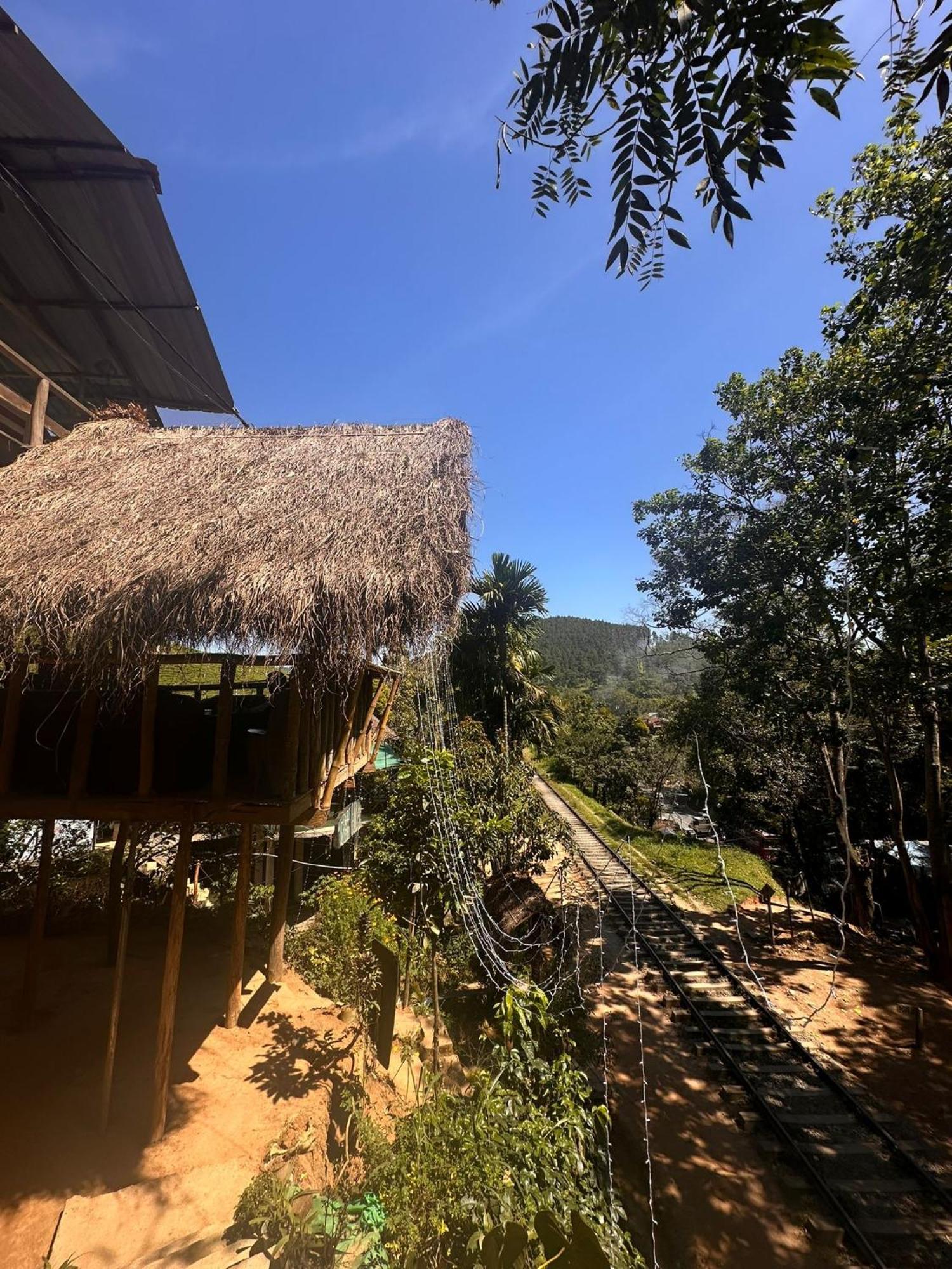 Hostal Tree House Ella Bagian luar foto