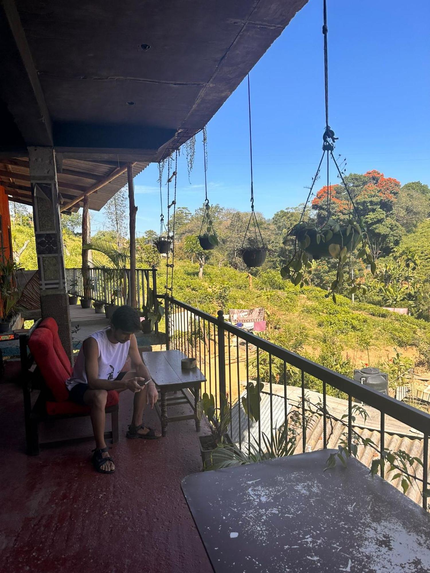 Hostal Tree House Ella Bagian luar foto